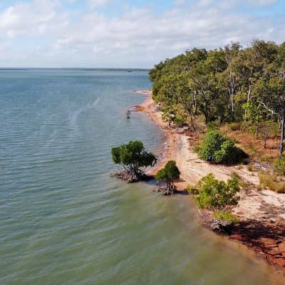 Weipa Helicopter Animal Control