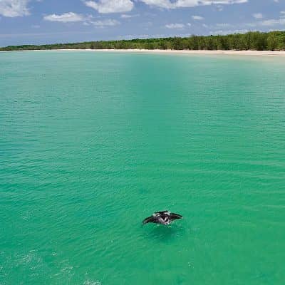 Weipa Helicopter Tourism Services